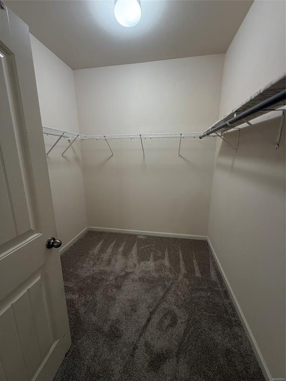 Building Photo - 9412 Alpine Park Ct