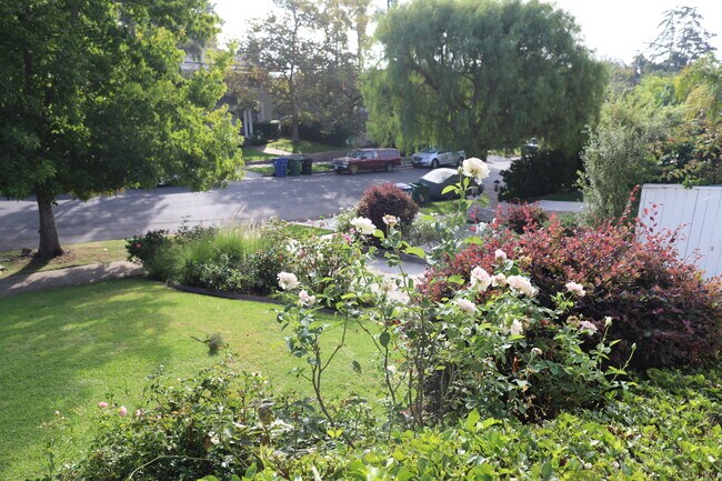 Frontyard - 1029 Chautauqua Blvd