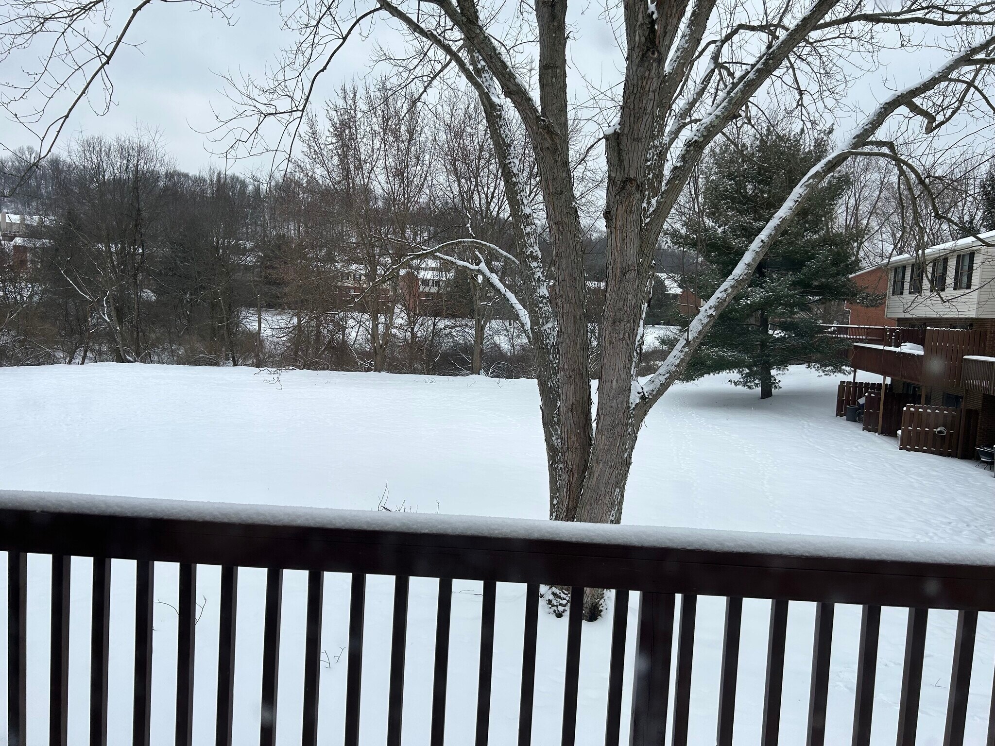 Building Photo - 307 Brookside Ln