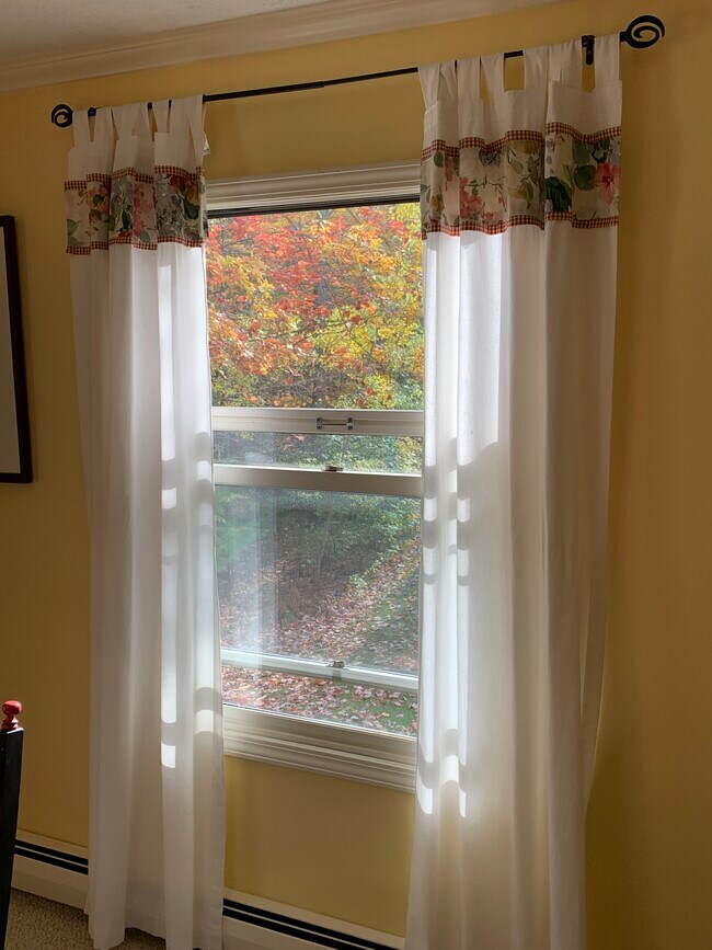 lot of light - 4244 Mitchell Creek Dr