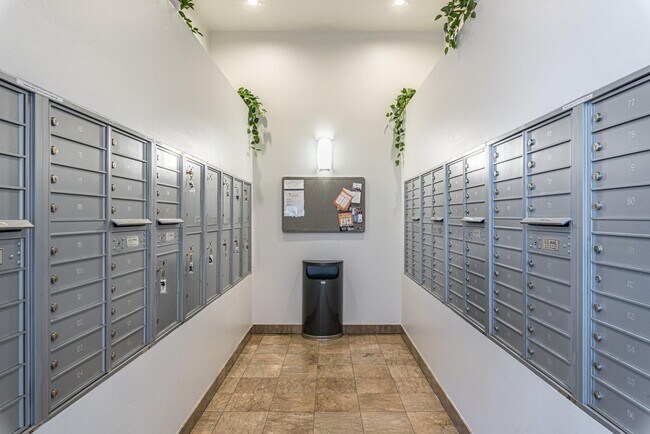 Building Photo - 945 E Playa Del Norte Dr