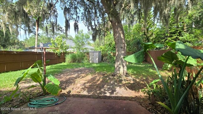 Building Photo - 1535 Mango Tree Dr