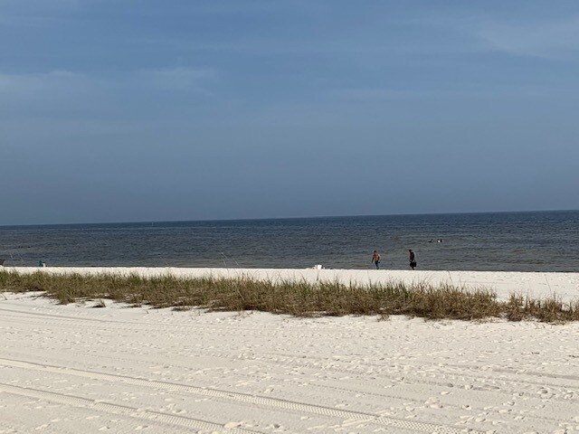 Primary Photo - 141 Briarfield Ave