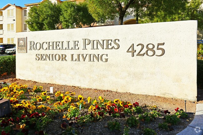 Rochelle Pines Apartments - Las Vegas, NV | Apartment Finder