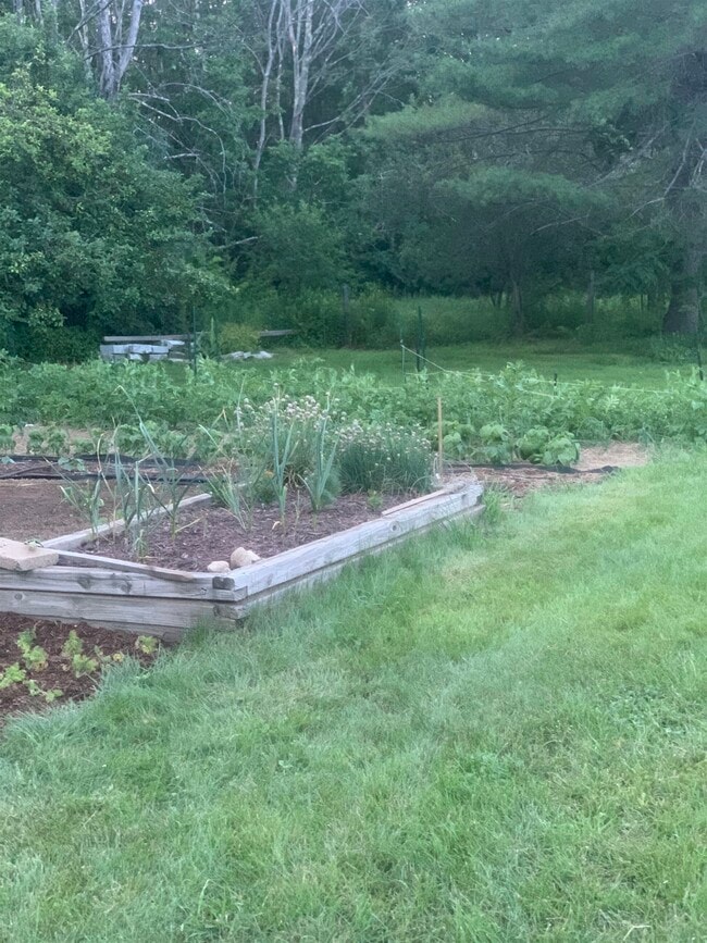 Building Photo - 293 Bear Hill Rd