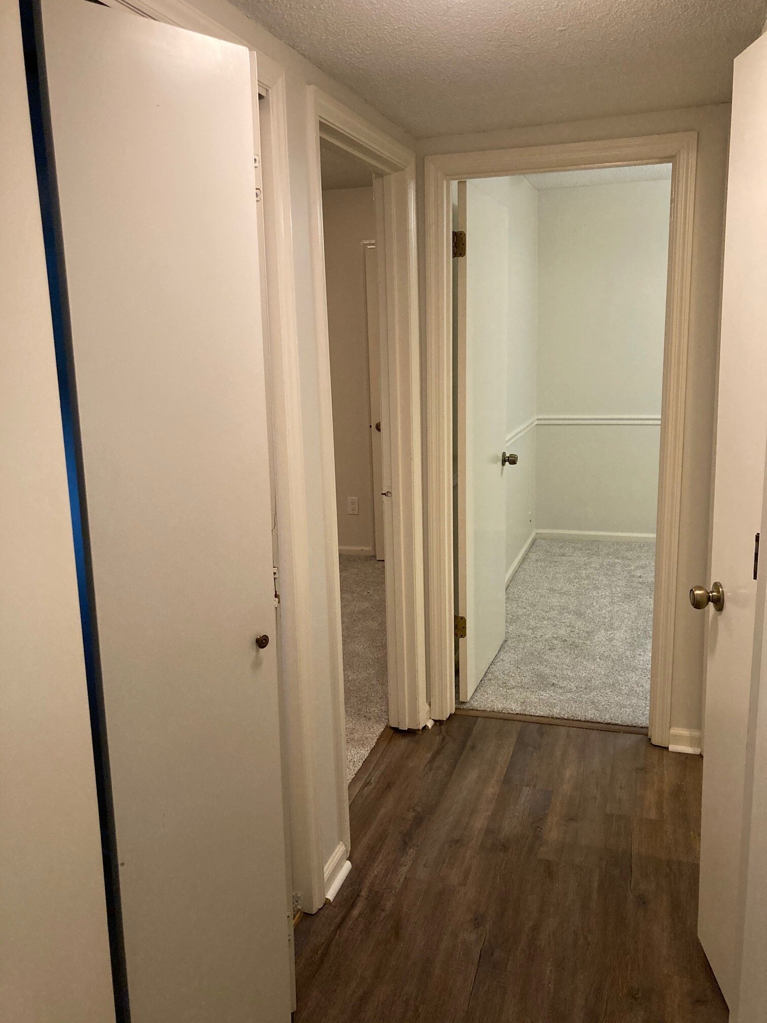Hallway with laundry closet, two bedrooms and full bath - 103 Lisa Ln