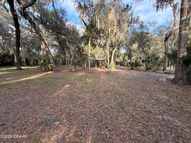 Building Photo - 711 Freda Ln