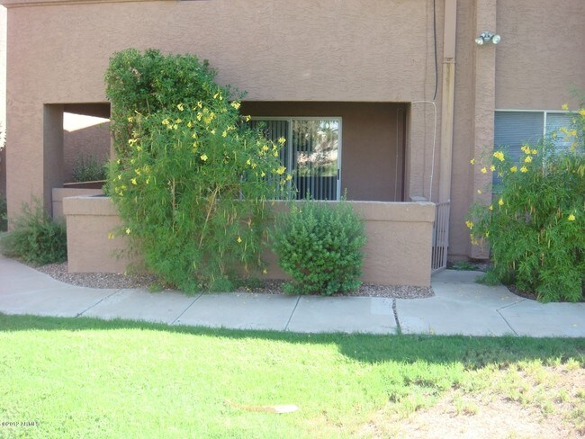 Building Photo - 4050 E Cactus Rd