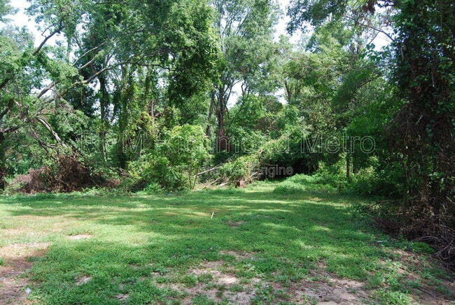 Building Photo - 4515 Olney Dr