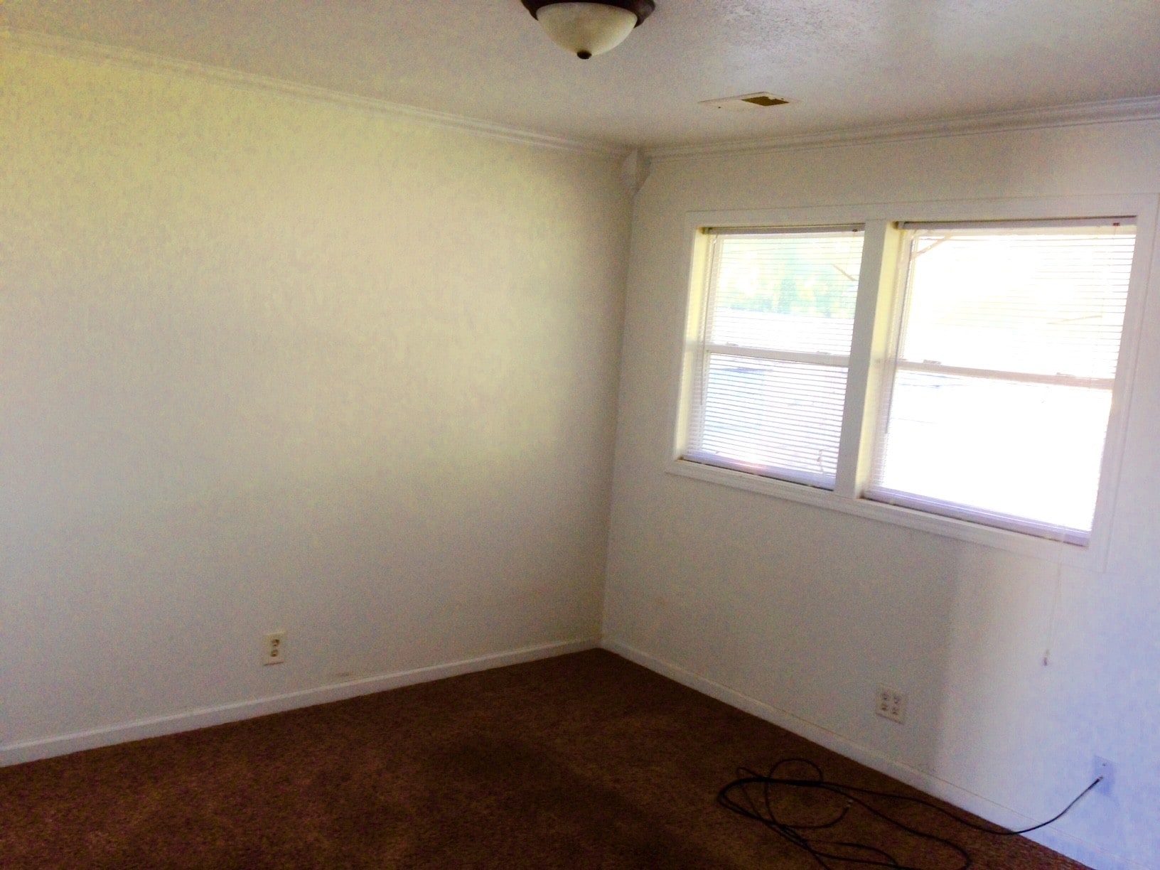 Building Photo - 123 6th St W