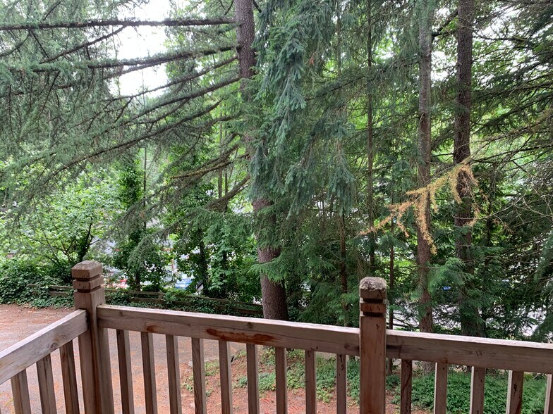 View from the deck - 19124 61st Place NE