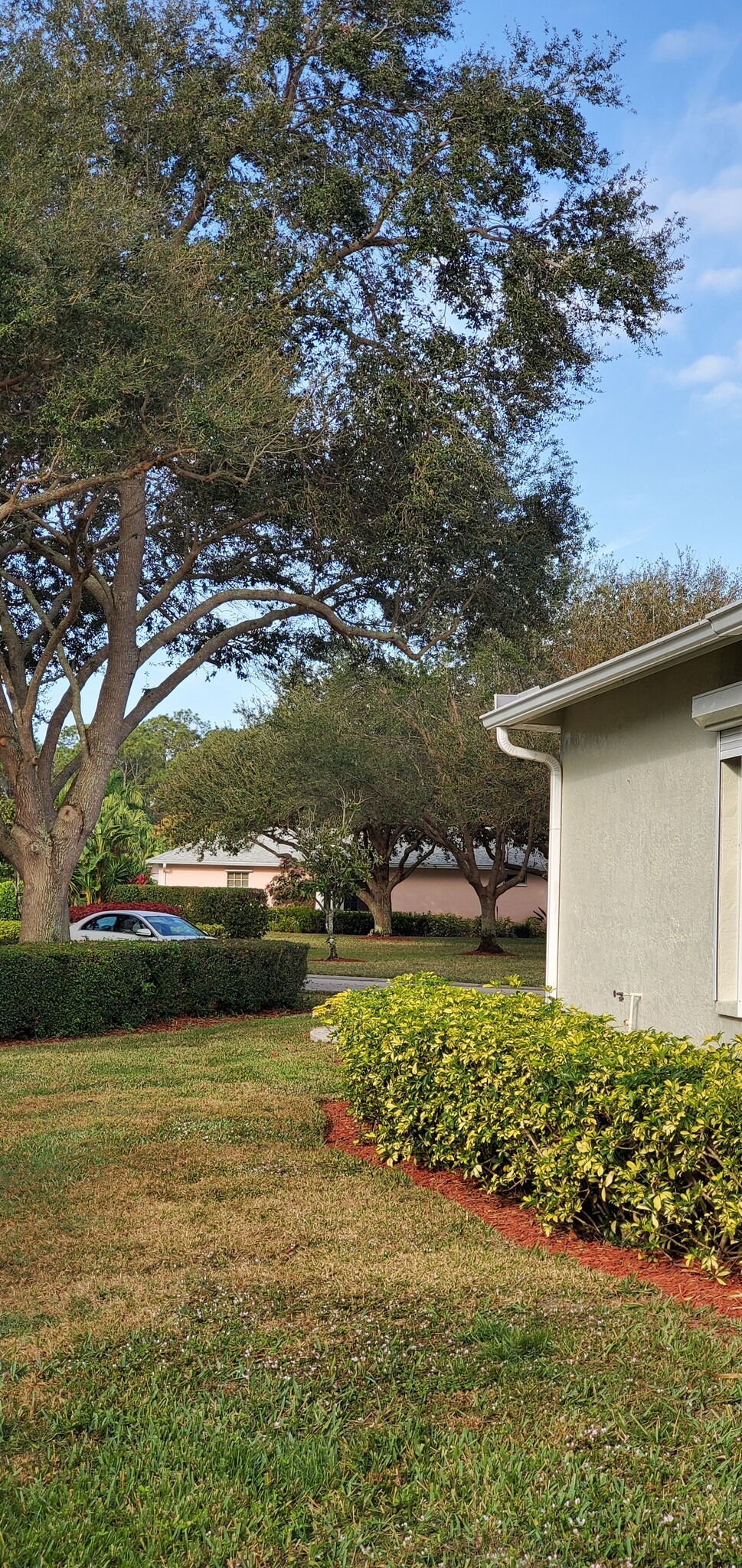Building Photo - 407 Crossfield Cir