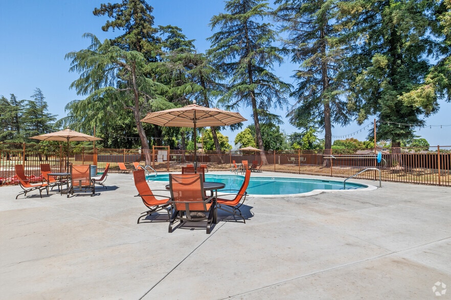 Primary Photo - Laguna Park