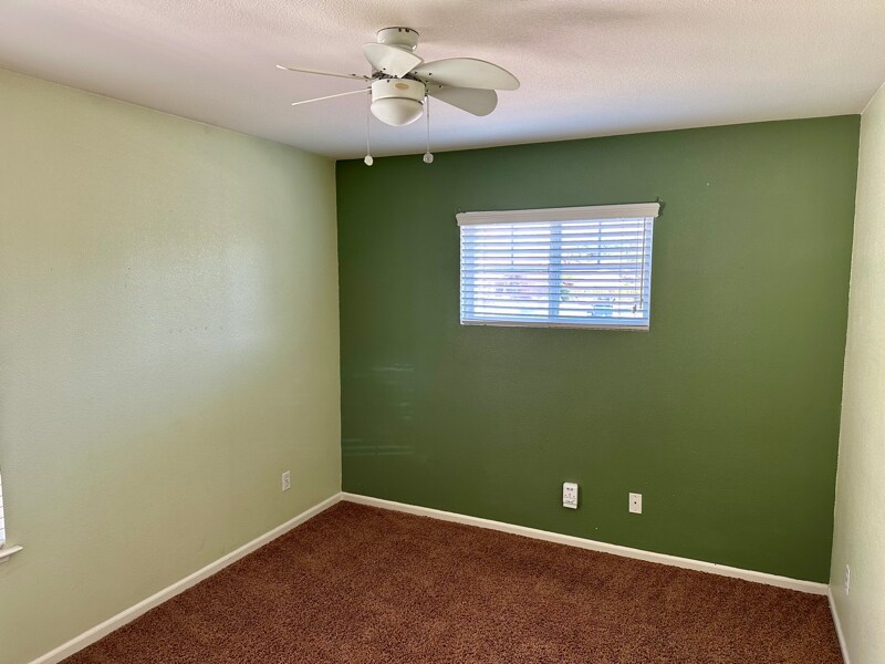 Building Photo - 541 Jacaranda St
