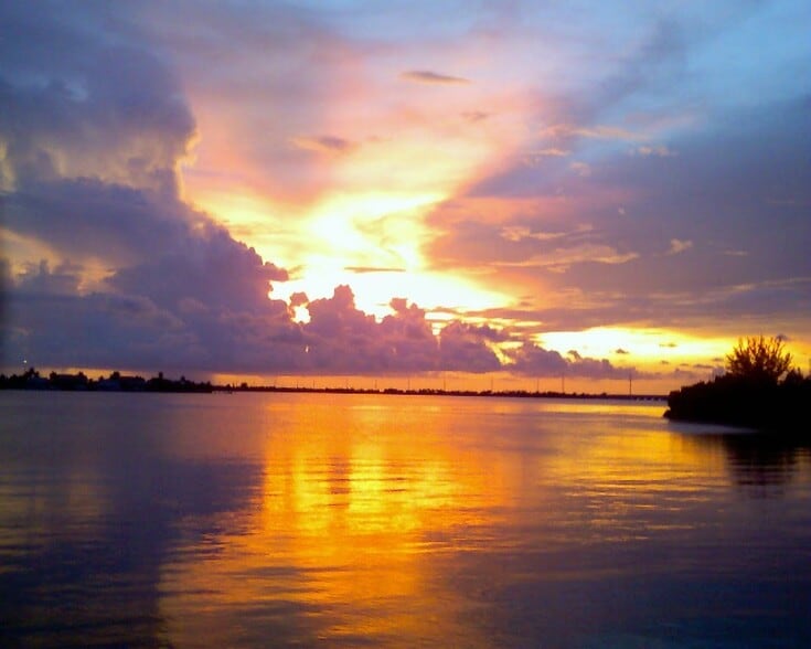 Building Photo - 170 Larchwood Dr