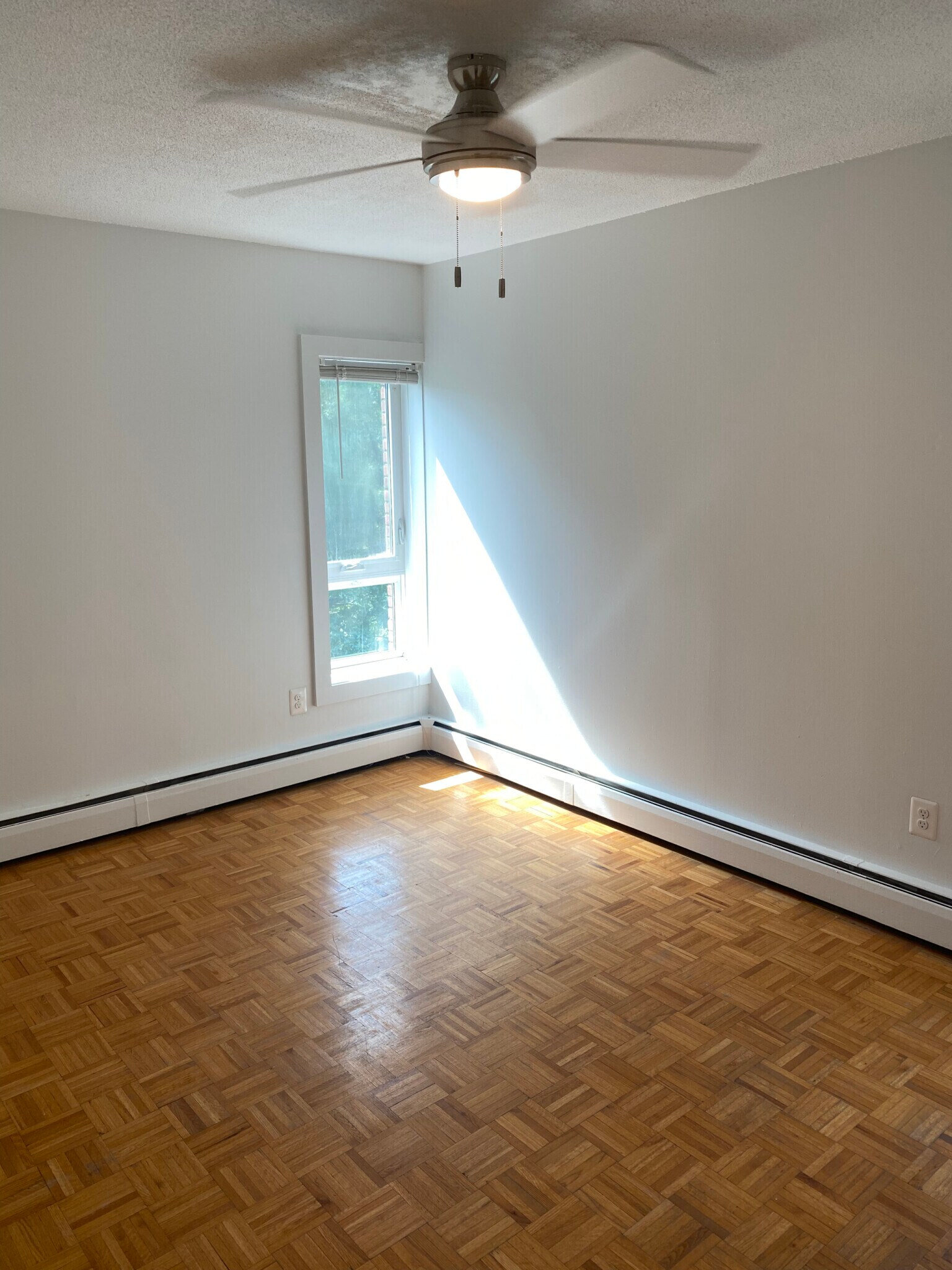 Building Photo - 524 Putnam Ave