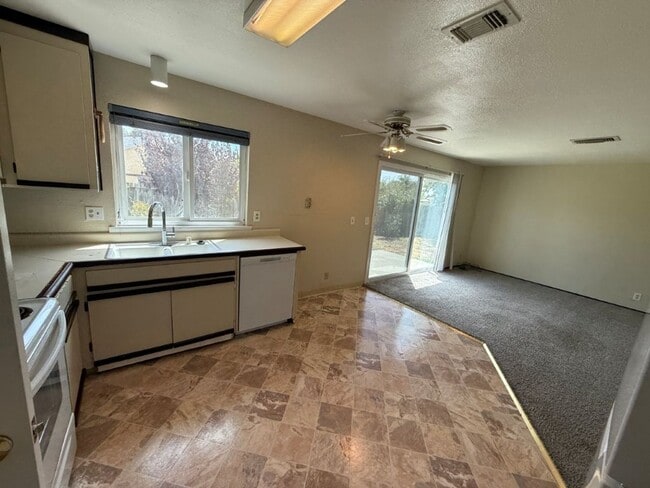 Building Photo - 1003 Blackspur Ct