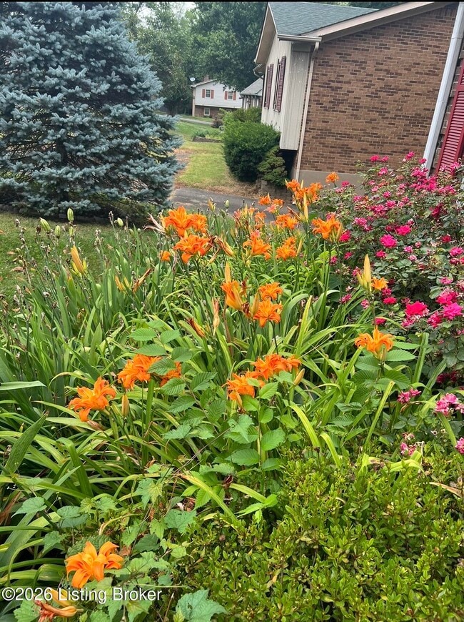 Building Photo - 3012 Lexham Rd