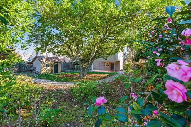 Building Photo - Spacious 2 Bed, 2 Bath Home