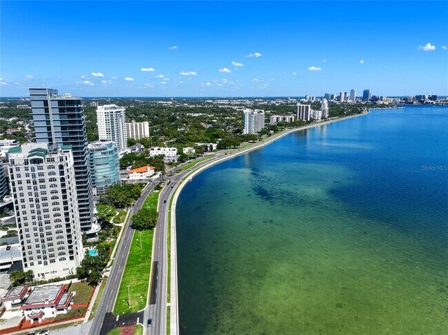Building Photo - 3101 Bayshore Blvd