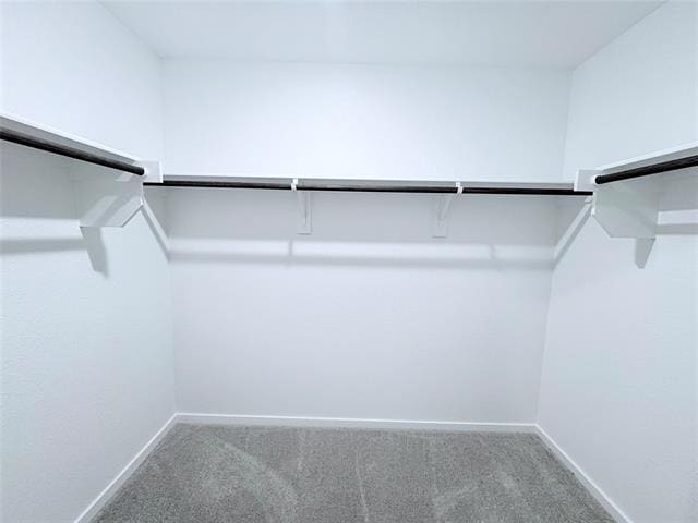 Building Photo - 1000 Calley Pear Trl