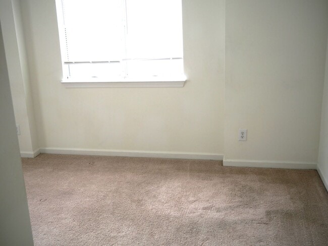 Building Photo - 113 Amelia Ct