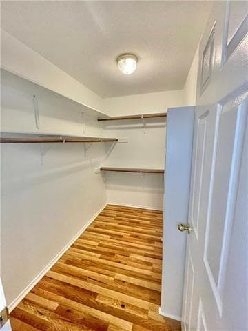 Building Photo - 17312 Manish Dr