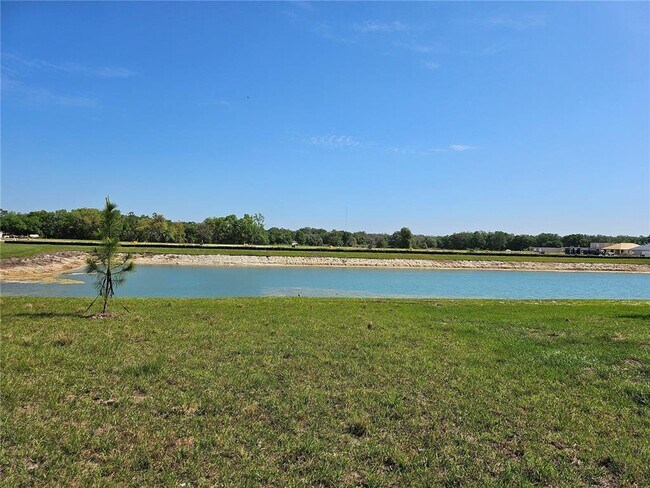 Building Photo - 35711 Sunflower Hl Dr