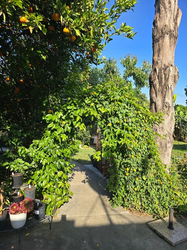 Building Photo - 4902 Baldwin Ave
