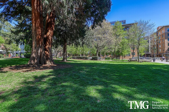 Building Photo - Top-Floor 2BD/2BA Condo w/ Stunning Park Views & Utilities Included