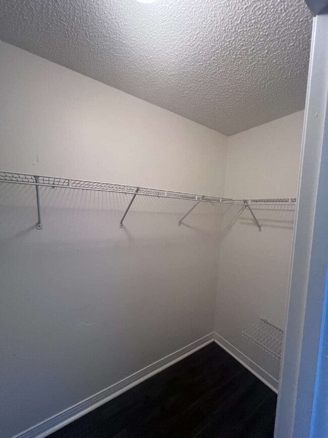 Building Photo - 1721 Colonial Ct