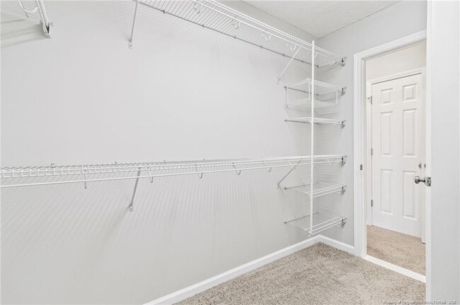 Building Photo - 132 Cedar Ln