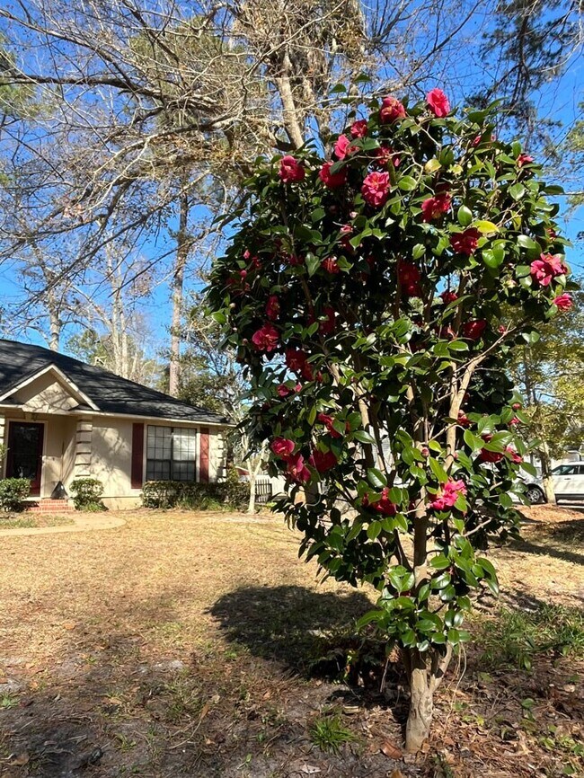 Building Photo - 112 Eagles Landing Dr