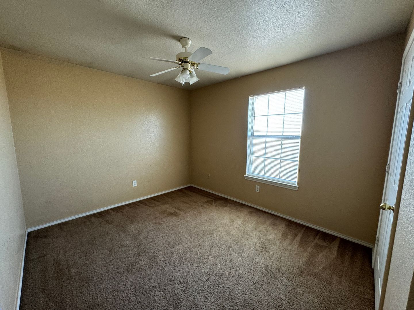 Building Photo - 3203 Toledo Dr