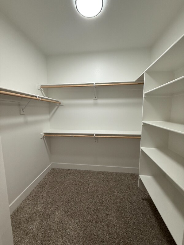 Building Photo - 791 Rio Vis Lp