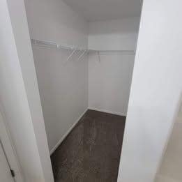 Building Photo - 5223 Dove Creek Ln