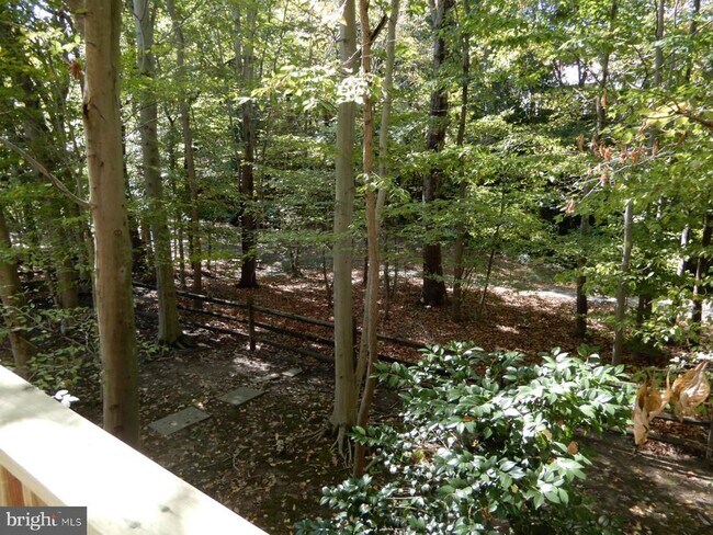 Building Photo - 7014 Maple Tree Ln