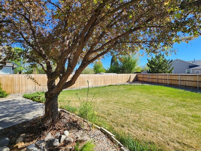 Building Photo - Home For Rent in Wildhorse Area of Minden