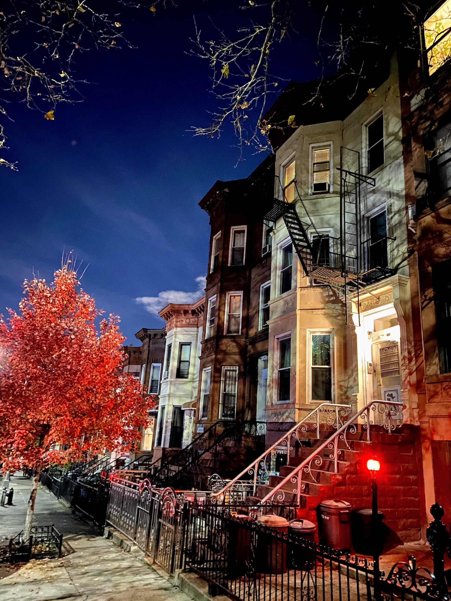 Fall Outside - 451 51st St