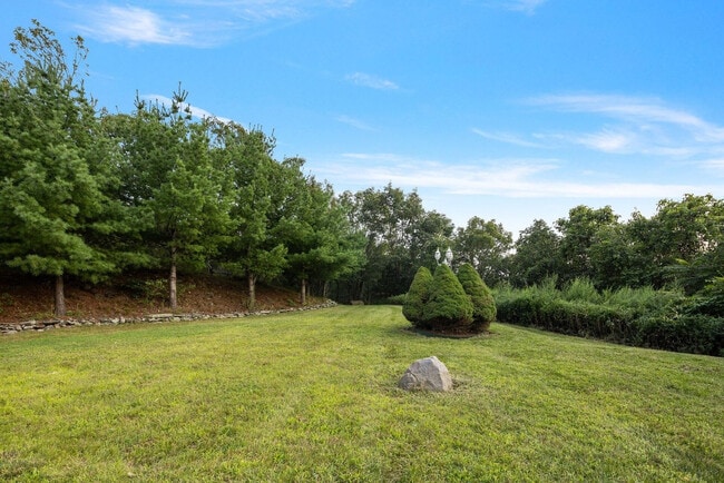 Building Photo - 321 Museum Village Rd