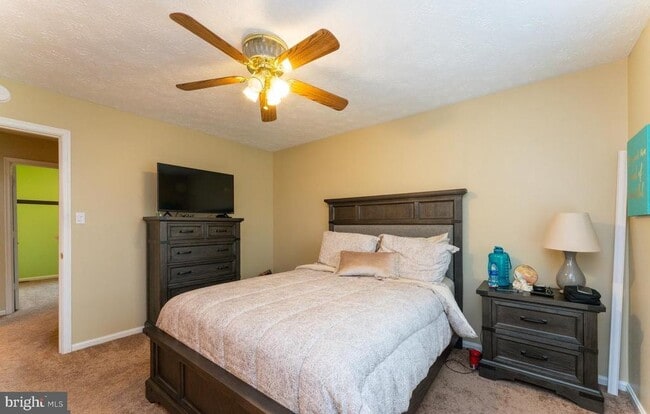 Building Photo - 6006 Bobcat Ct