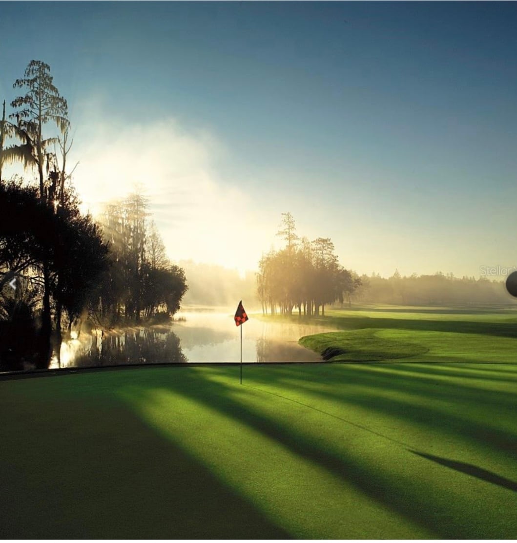 Building Photo - 36750 US Highway 19 N