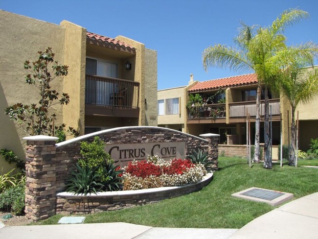 Building Photo - Citrus Cove Apartments 1 br