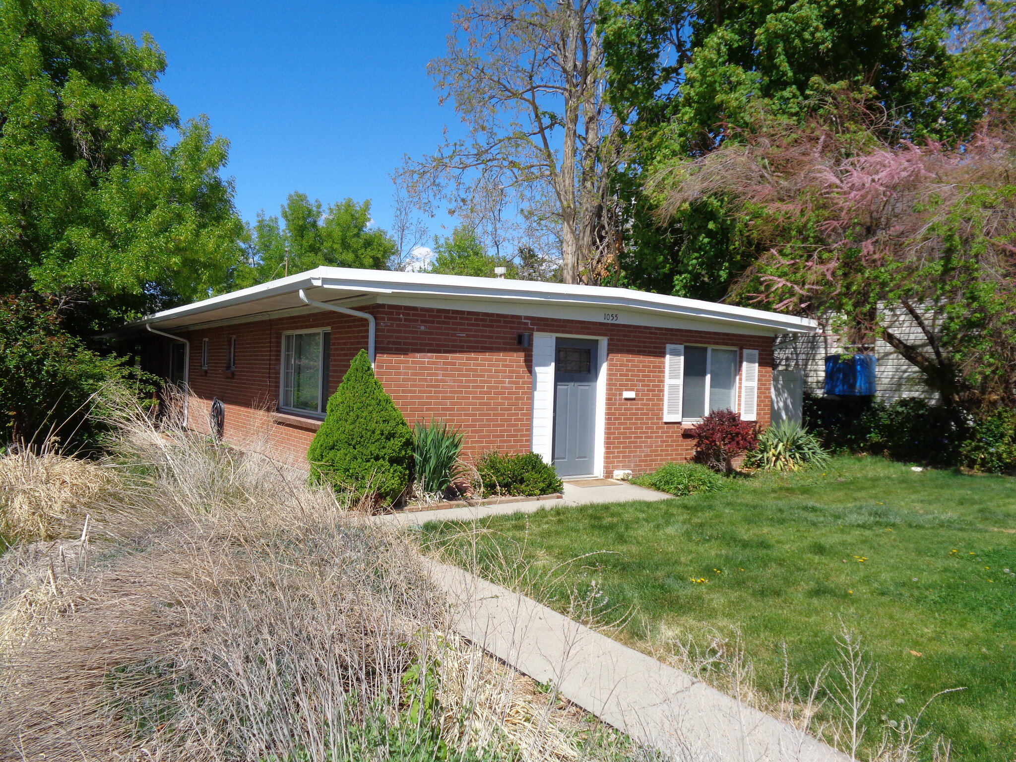 Building Photo - 1055 E Wilson Ave
