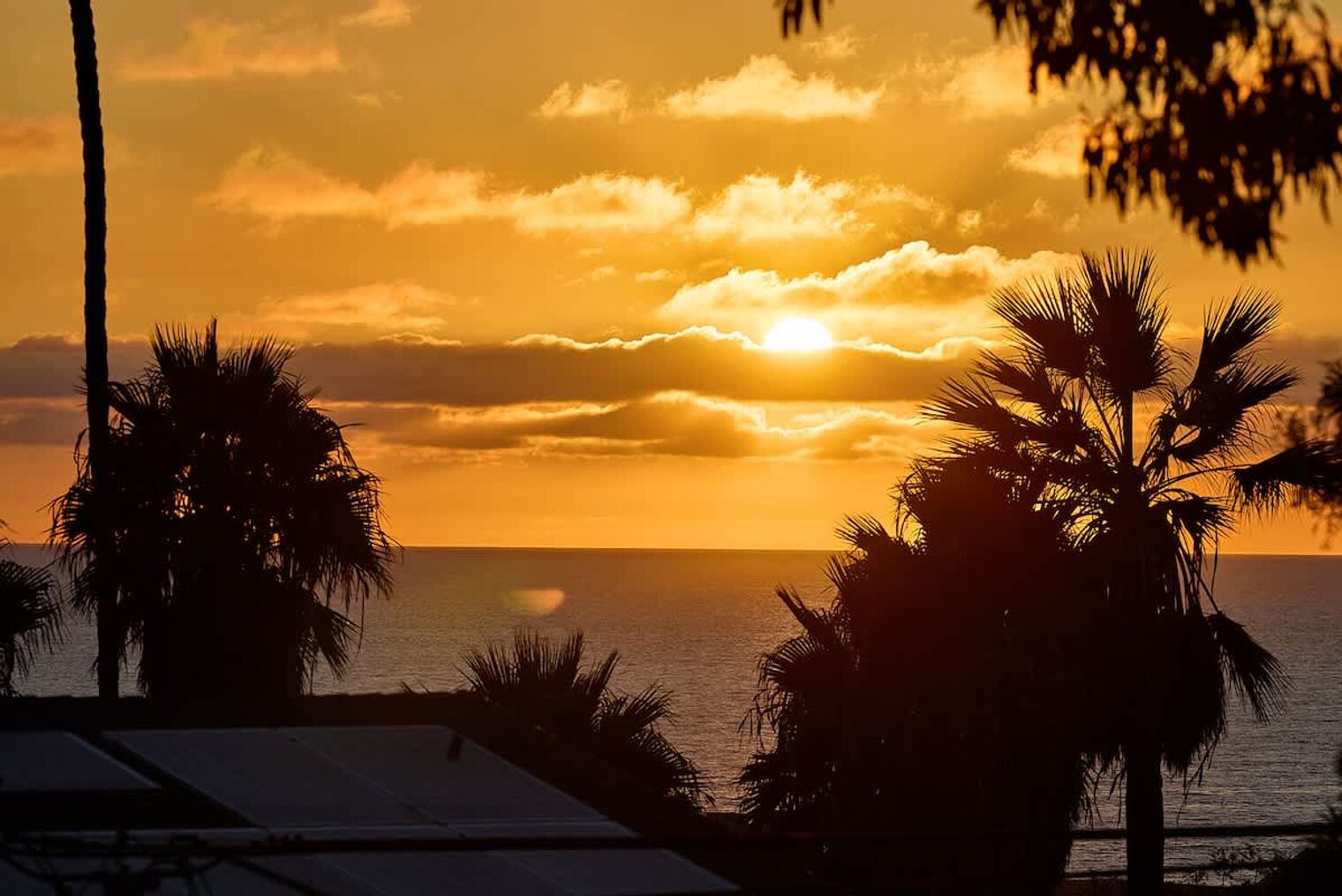 Building Photo - 2310 Edinburg Ave