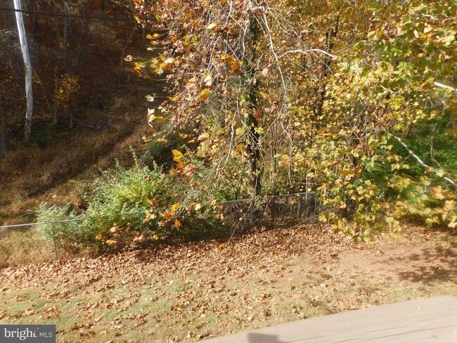 Building Photo - 337 Kirby St