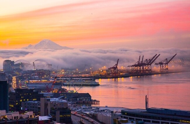 Building Photo - Stunning Belltown Penthouse w/ Ocean Views