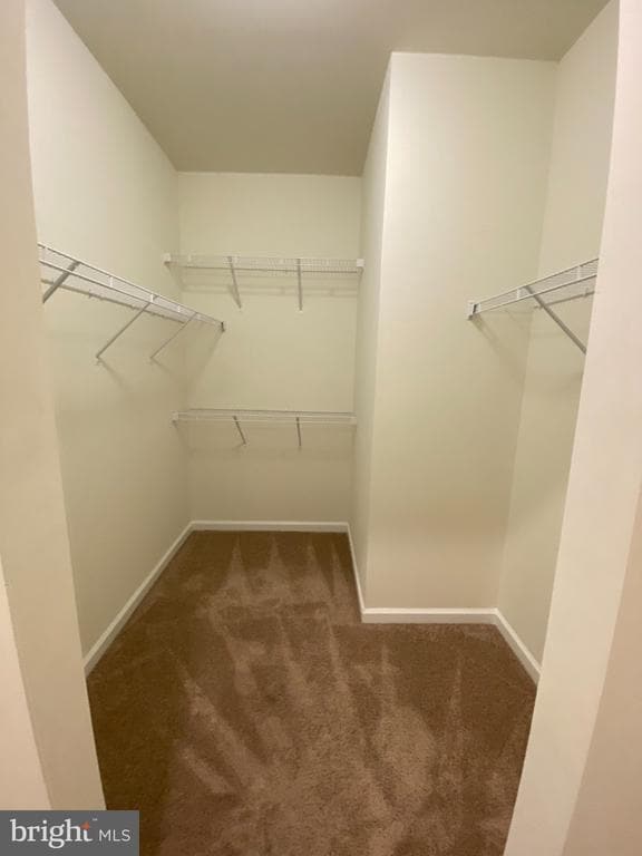 Building Photo - 697 Rivanna Run