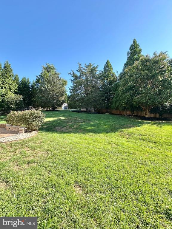 Building Photo - 12102 Snow Shoe Ct