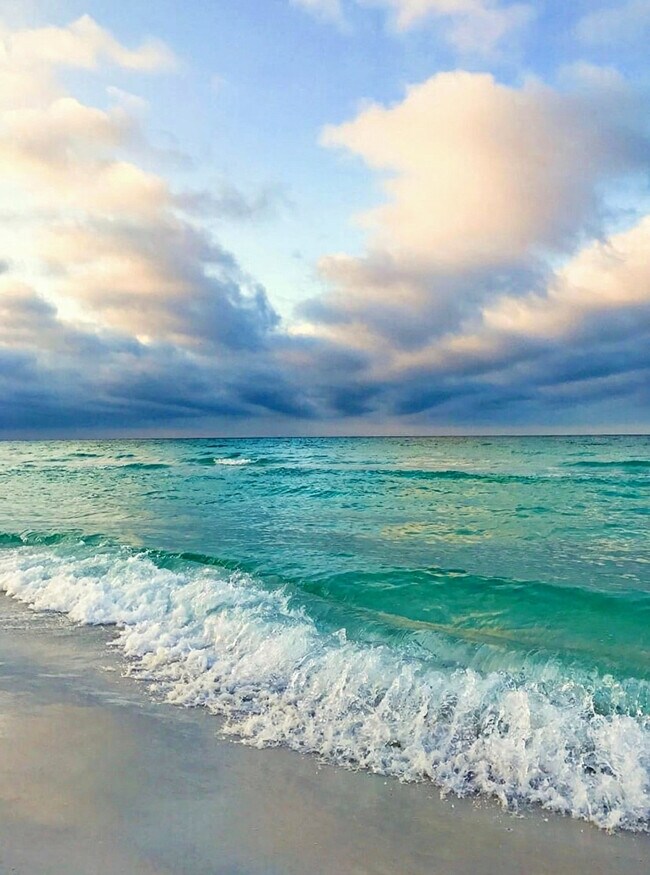 Building Photo - 32 Gulf Cove Ct